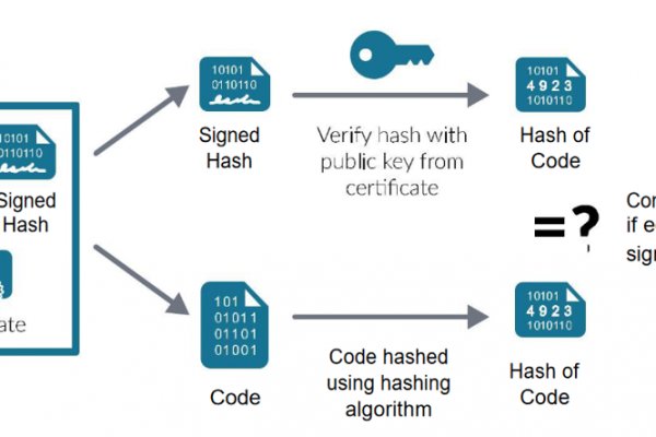 Kraken kraken link24 info